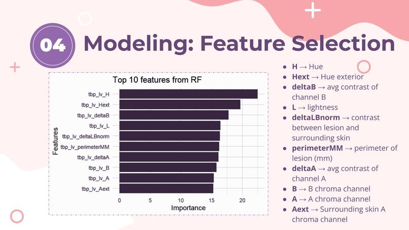 Beneath the Surface: Predicting Skin Lesions with ML – screenshot 5