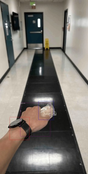 CapyCleanGo! – screenshot 2