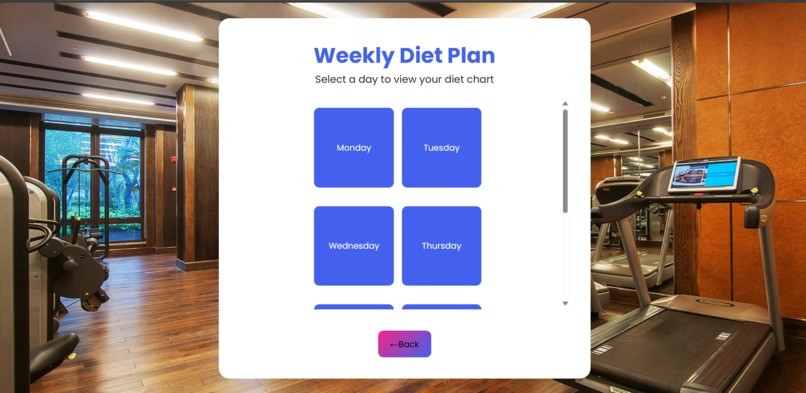 GymFolio – screenshot 2