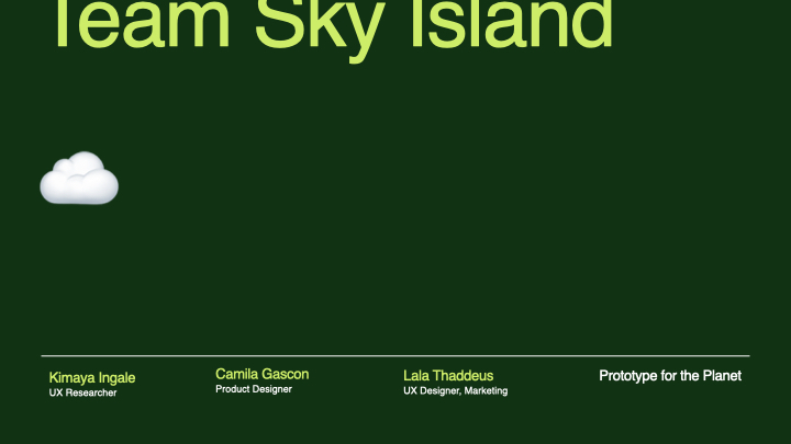 Team Sky Island  – screenshot 1
