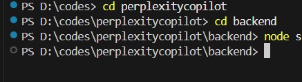 Perplexity Copilot – screenshot 1