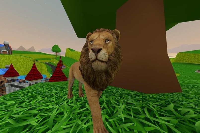 Safari Zoo – screenshot 6