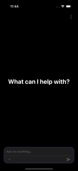 PiPartner – screenshot 1