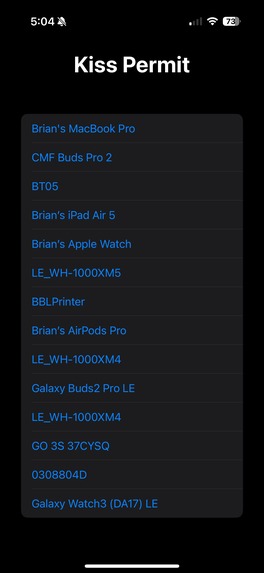 Kiss Permit – screenshot 4