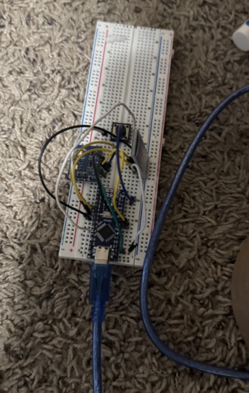 Kiss Permit – screenshot 1