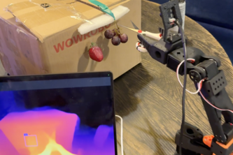 Barry, The Berry Farmer