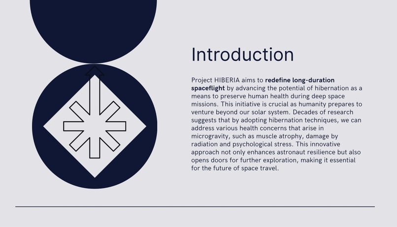 HIBERIA  – screenshot 3