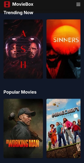 Movie Watchlist Platform  – screenshot 4
