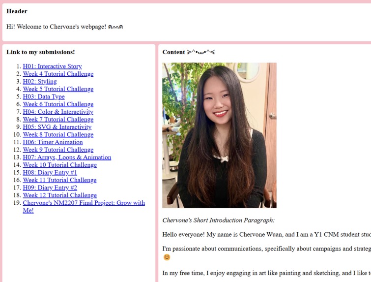 NUS NM2207 Computational Media Literacy (HMTL,CSS,JS) – screenshot 1