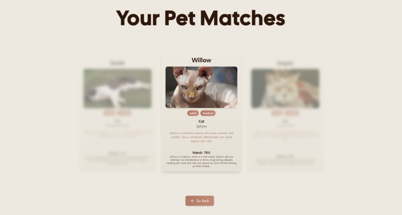 PetoVibe – screenshot 5