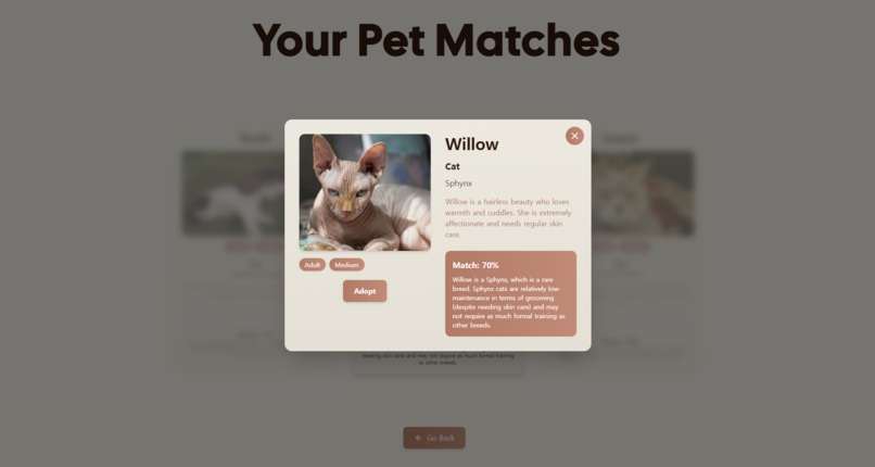 PetoVibe – screenshot 6