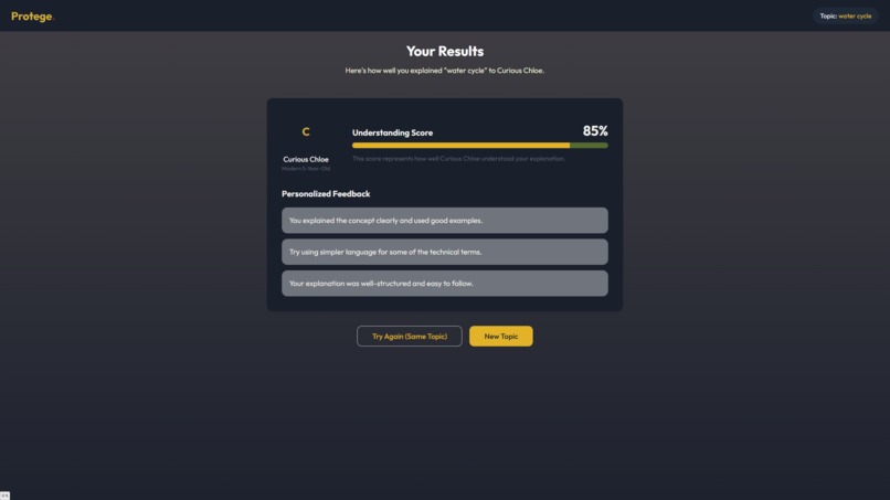 Protege – screenshot 4