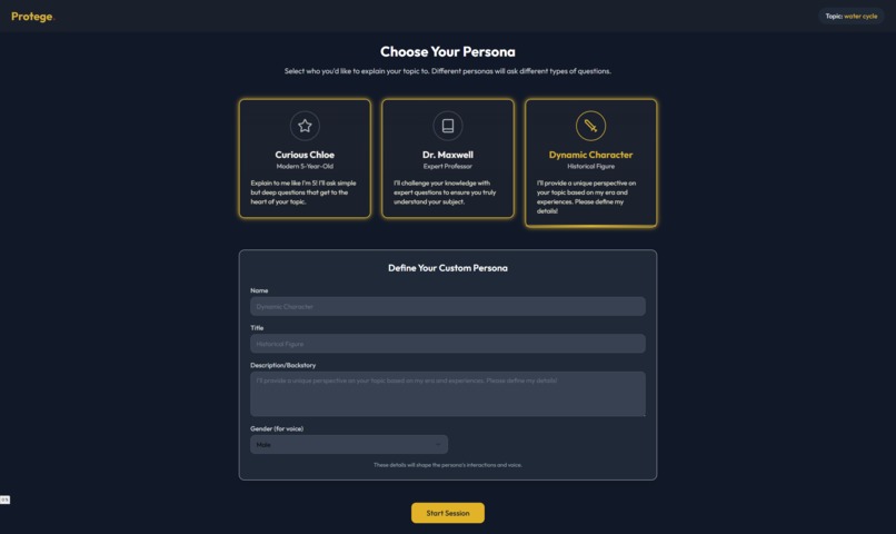 Protege – screenshot 2