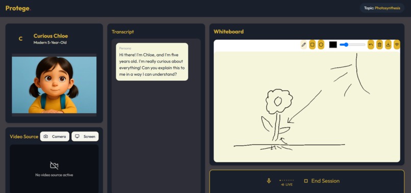 Protege – screenshot 3