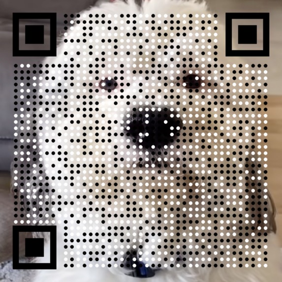 Prettify QR – screenshot 1
