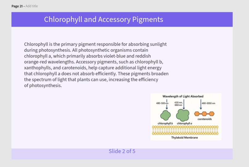 Adobe Academy – screenshot 6