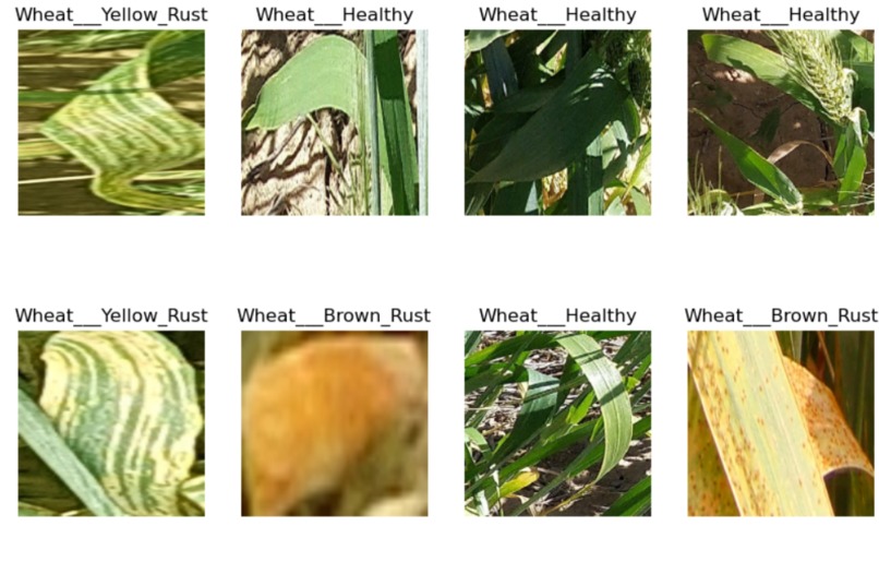 AgriAid – screenshot 4