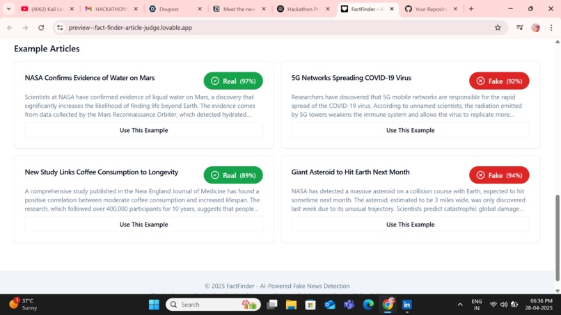 Fake News Detection System – screenshot 3