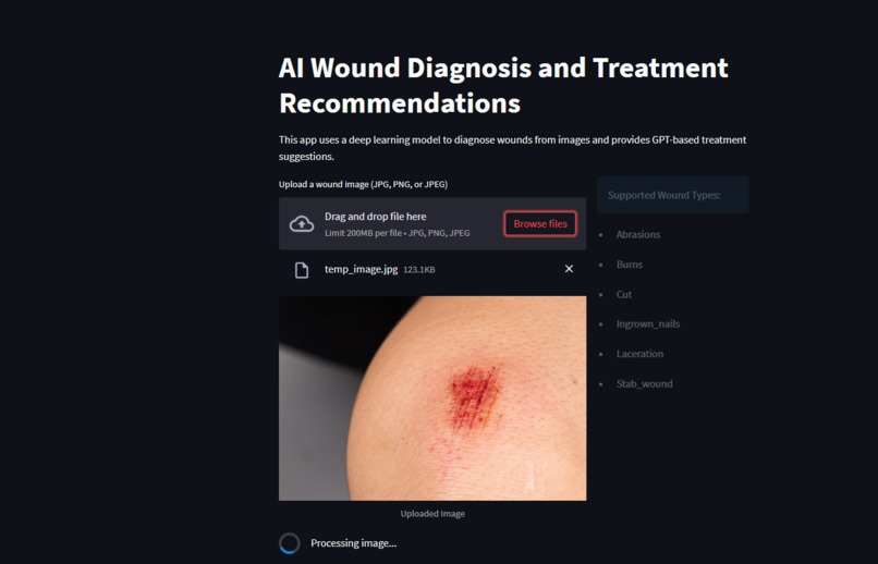 Wound Diagnosis – screenshot 2