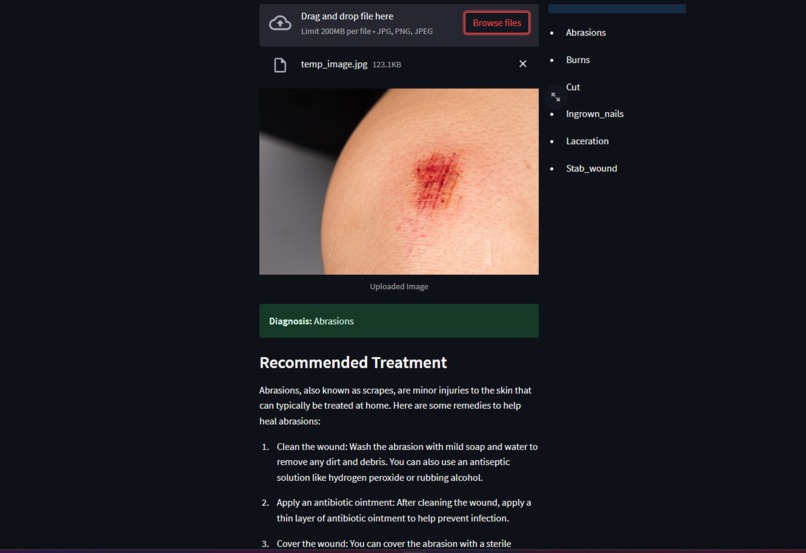 Wound Diagnosis – screenshot 3