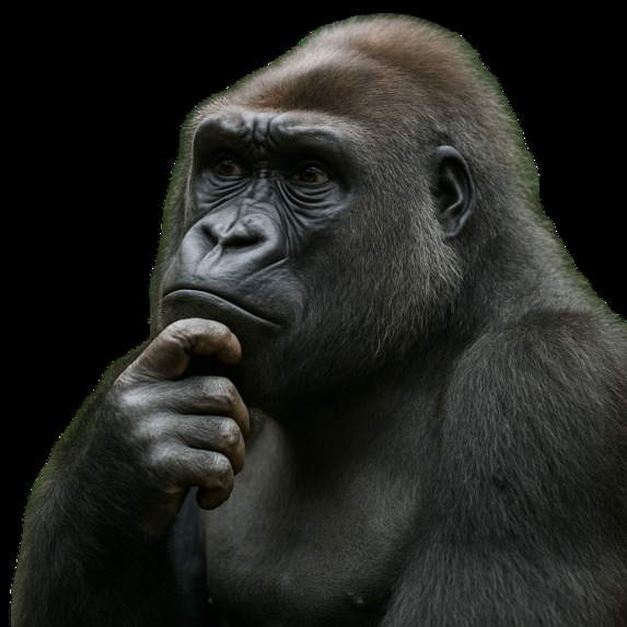 Gorilla 100 – screenshot 1