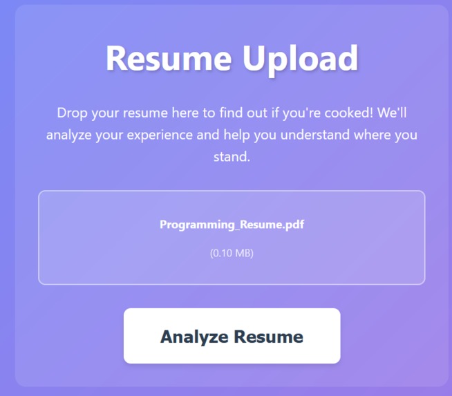 Am I Cooked? – screenshot 5