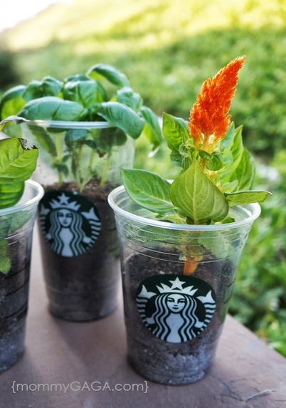 UrbanEco – screenshot 4