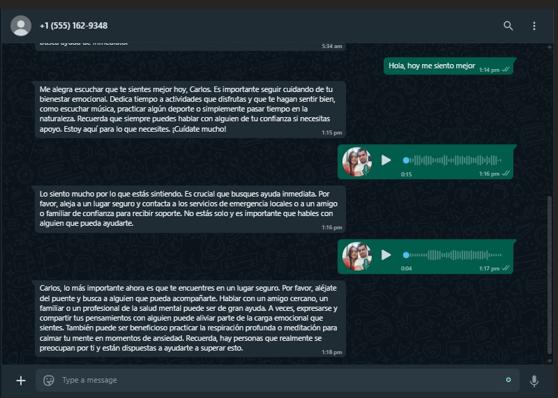 MarshaAI – screenshot 2