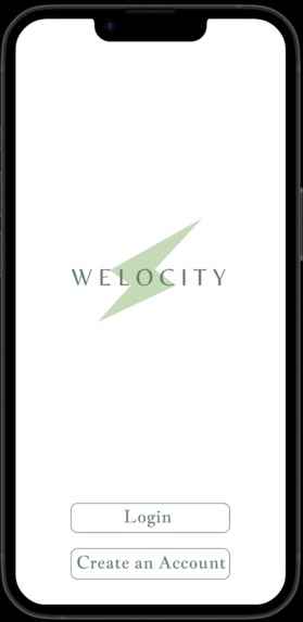 Welocity – screenshot 1