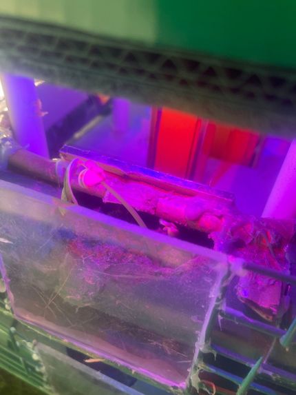 Smart Urban Garden – screenshot 12