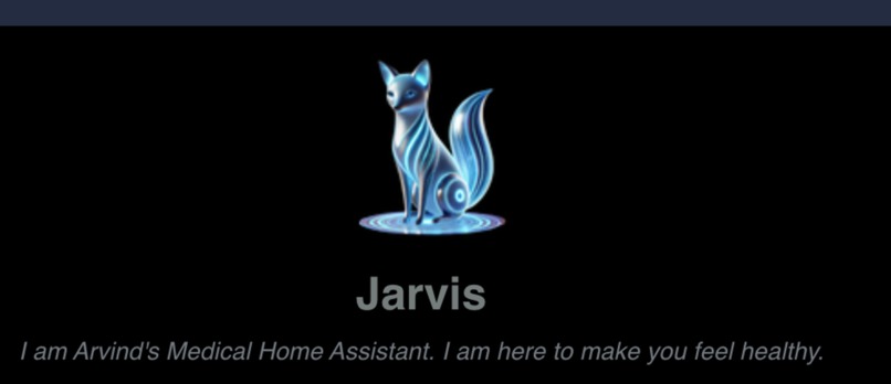 Jarvis V1, my home medical assistant – screenshot 1