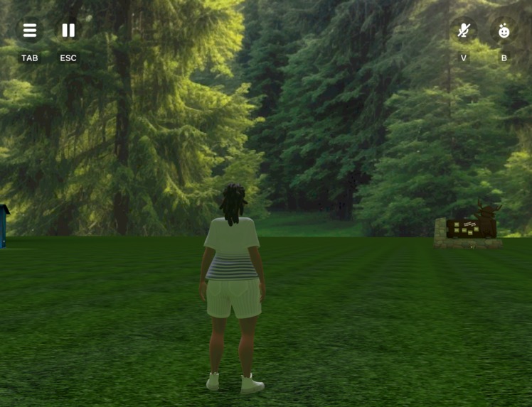 Camp N' Chill – screenshot 7