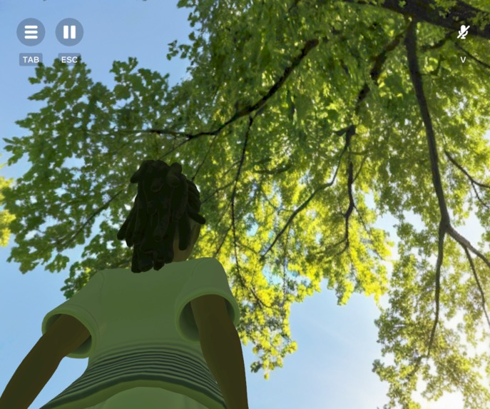 Camp N' Chill – screenshot 19