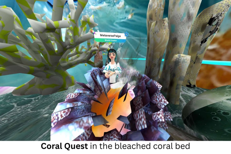 Coral Quest – screenshot 15