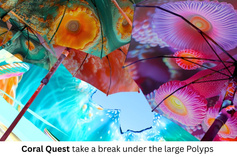 Coral Quest – screenshot 17
