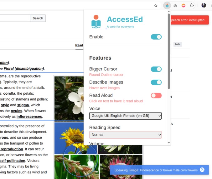 AccessEd – screenshot 4