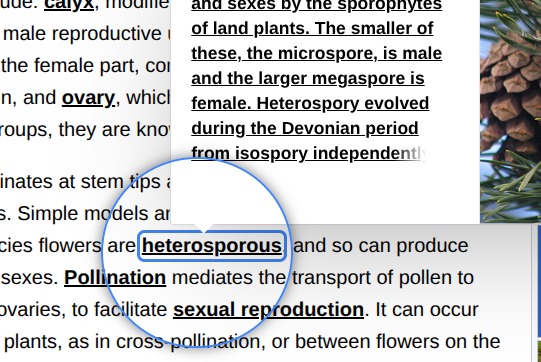 AccessEd – screenshot 5