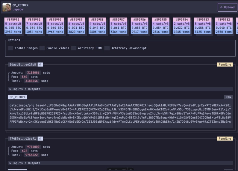 OP_RETURN.space – screenshot 1