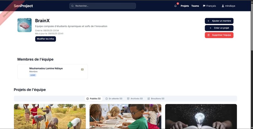 SenProject – screenshot 2