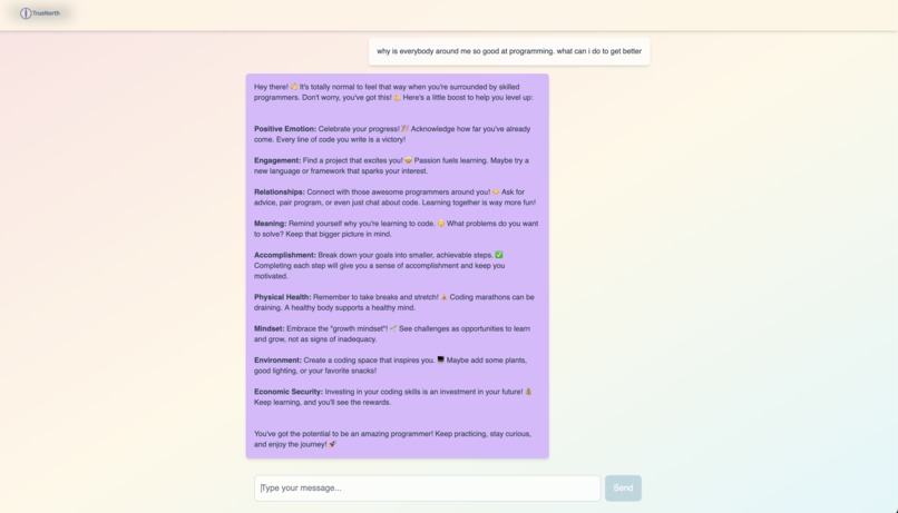 TrueNorth – screenshot 2