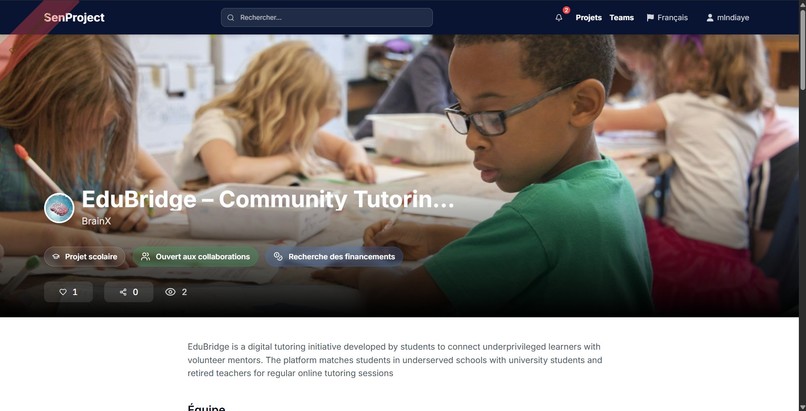 SenProject – screenshot 4