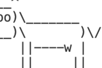 Exploration of Time Travel