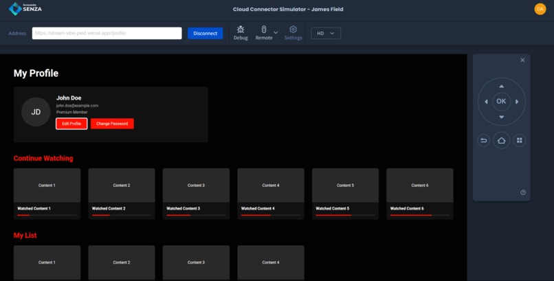 StreamVibe_Demo – screenshot 1