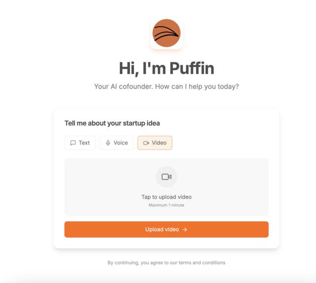 Puffin – screenshot 3