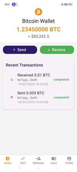 Bitcoin-SuperApp – screenshot 4