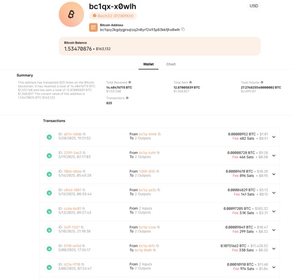 SatStreet – screenshot 5