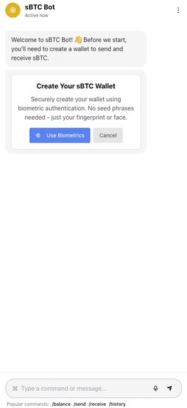 Simple BTC – screenshot 1