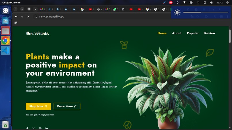 PlantWebsite – screenshot 1