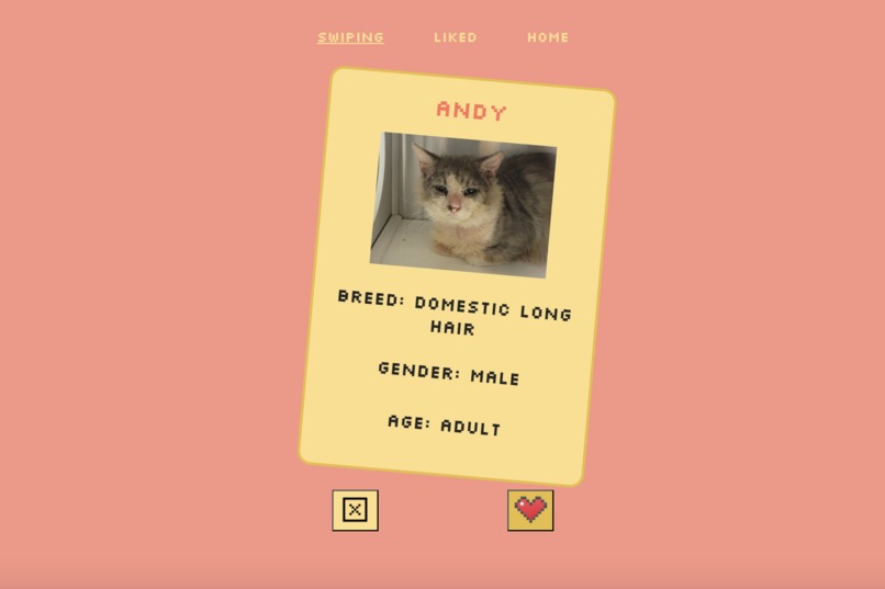 Purrfect Match – screenshot 2