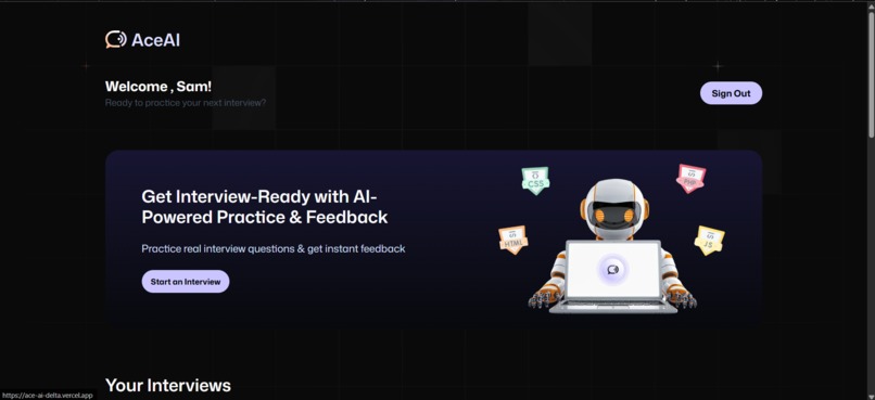 AceAI – screenshot 2